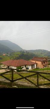 Pizzeria Drago Verde