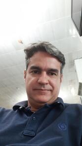 American Bar Fly Café