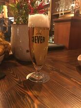 Il Bastardino Birreria