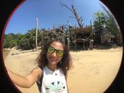Hippy Bar