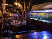 Konoba Restaurant BEPO - Zaton