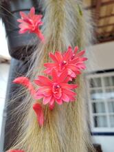 Recanto Serra do Trovão