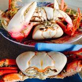 Bar e Restaurante O Dedão