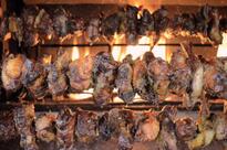 Agriturimo Casinetto