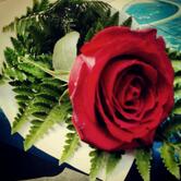 Dinapoli Restaurante e Bar