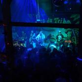 Pico da Tribo - Praia do Rosa