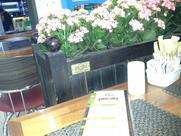 Pecan Restaurante - Shop. Paineiras