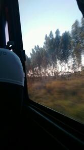 República Da Cerveja