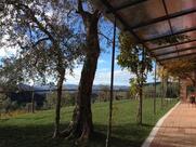 Agriturismo La Burlanda