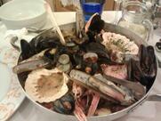 Ristorante Pizzeria - Don Pedro - Bardolino