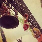 Antica Hostaria Piccola Roma