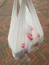 Oosterse Specialiteiten Restaurant De Lange Muur