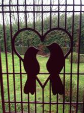 Brasserie - Feestzaal Ypsylon