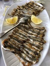 Ristorante Bar dalla Pia