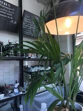 Yvonne’s Noodle Bar