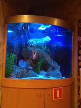 Чайхона № 1