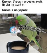 Jonjoli