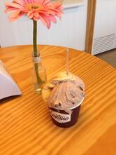 Santino Artisan Gelato - Floriano