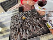 Le Noroît La Tremblade