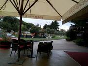 Paltana Bar