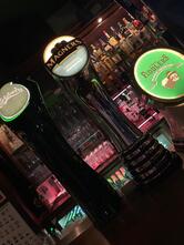 Irish Fiddler - Dresden