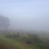 Auto Posto e Conveniência Pé de Cedro