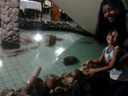 Tropical Sorveteria e Pizzaria