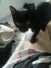 Rause Lanches e Porções