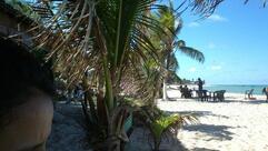 Tartaruga's Rock Bar