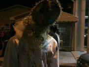 Figueira Restaurante