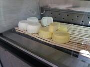 جبن قوتة king of testour سامي الفرياني