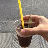 Gelateria Artigianale Cipriani Pistoia