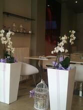 COLOMBO Cafè - Dolce & Salato