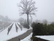 Corte Lantieri Ristorante Agriturismo