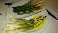 Antico Pioppo La Carolina