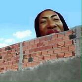 Restaurante Fulô Do Cerrado