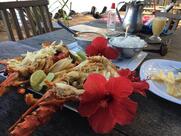 Cia da Lagosta - Restaurante de Frutos do Mar