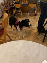 Cogito Coffee Shop / Deželićeva