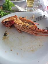 Restaurante Tia Maluca - A melhor picanha da Região!