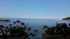 Restoran - Pizzeria Spadici