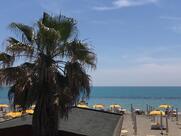 Ristorante Il Delfino Ostia