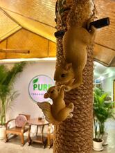 Pure Vegan Heaven Chiangmai Old Town