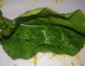 Restaurante O Mineiro