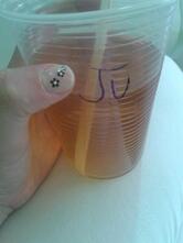 Espaco Vida Saudavel