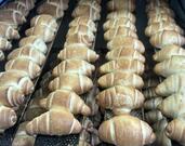 Santa Rita Pães E Doces