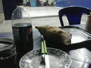 Pastelaria e Pizzaria o Marco