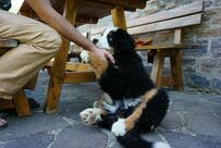 Agriturismo La Caputa