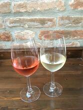 Enoteca Della Scimmia