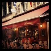 Civette de la Préfecture