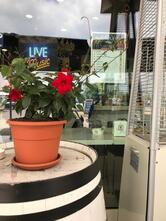 Happy Hour Bar da Dennis